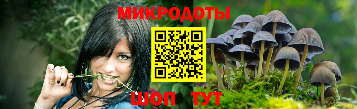 Галлюциногенные грибы GOLDEN TEACHER Стрежевой